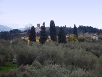 Panorama 935 (133423 bytes - 1024x768)